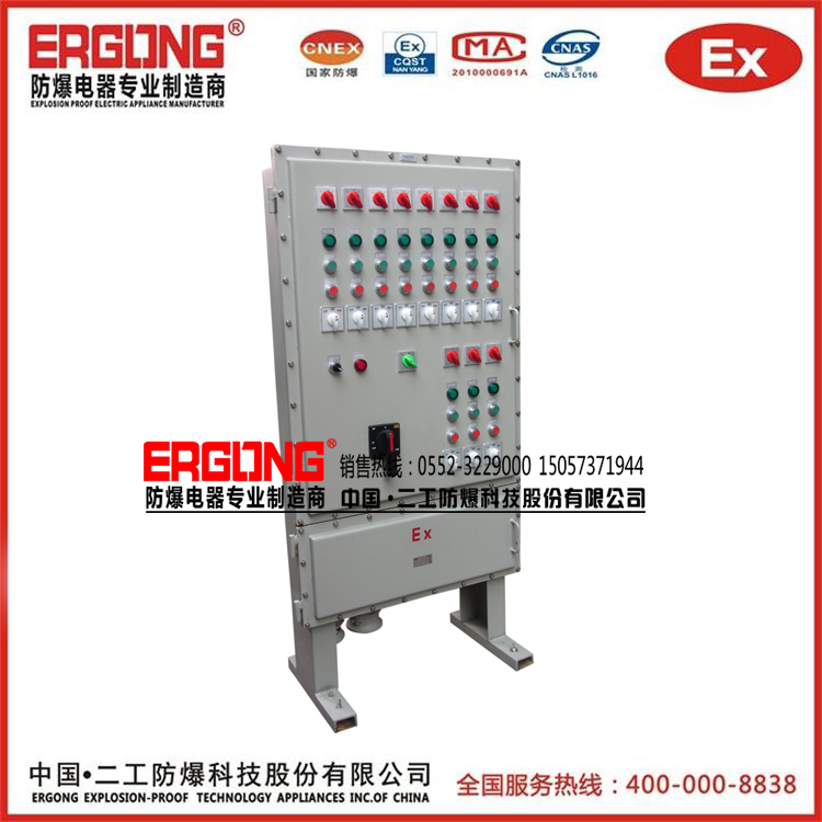 專業定制防爆配電箱（柜）