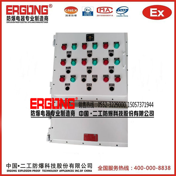 適合戶內外使用的防爆配電箱