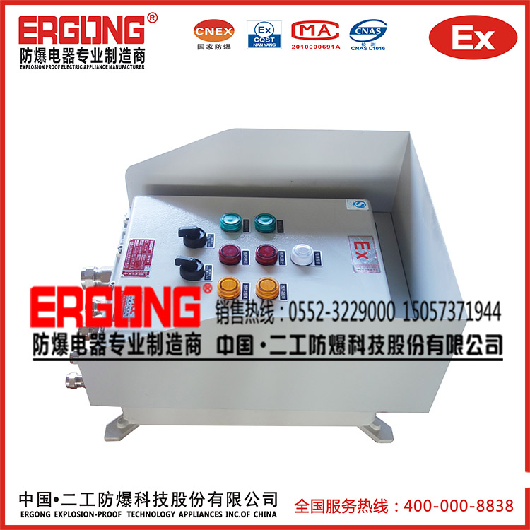 獨特設計防雨罩防爆配電箱