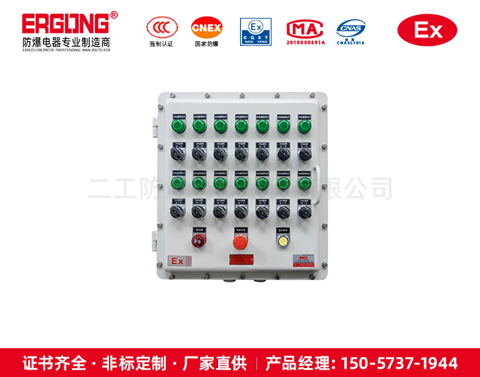 氣體粉塵環境使用防爆按鈕控制箱