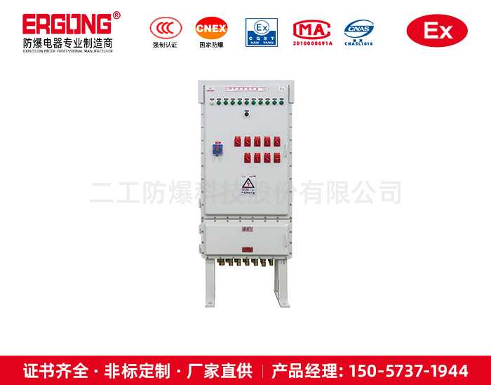 上下結(jié)構(gòu)防爆配電箱非標(biāo)定制